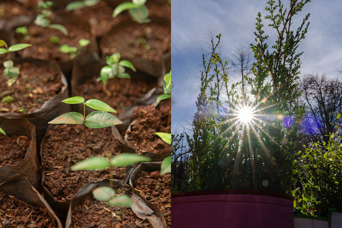 Navijet-Agents-REFORESTARG-1