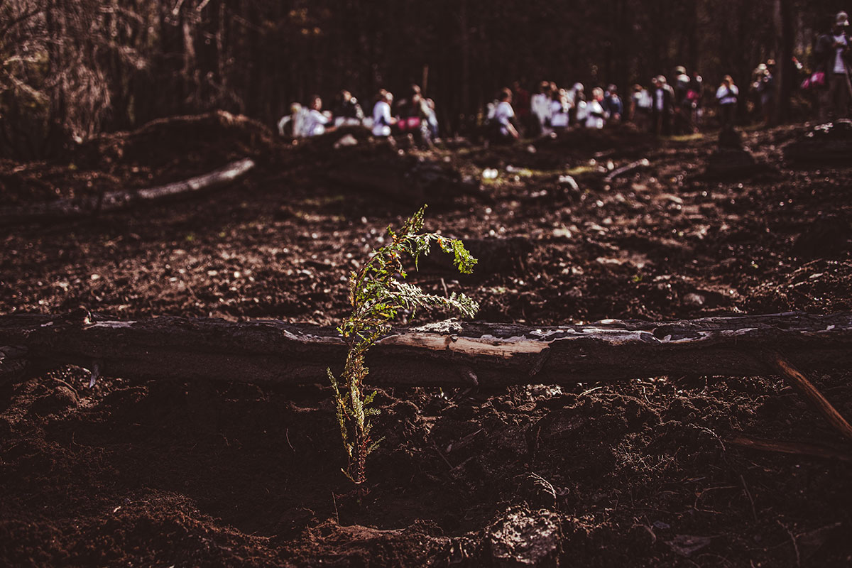 Navijet-Agents-REFORESTARG-2