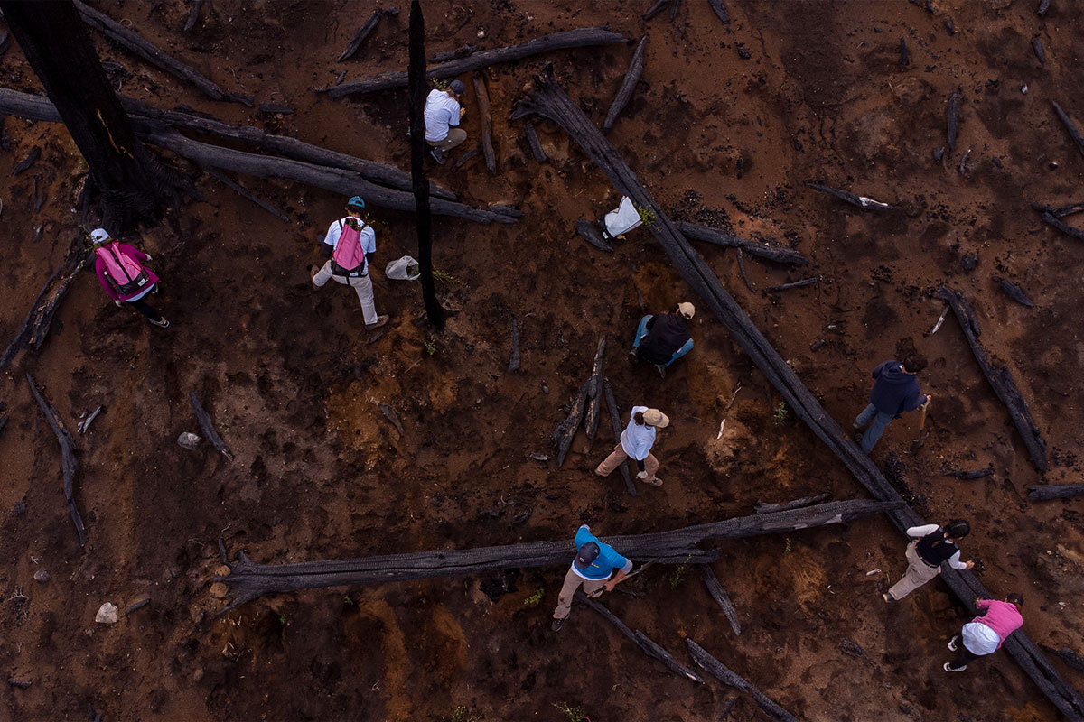 Navijet-Agents-REFORESTARG-3