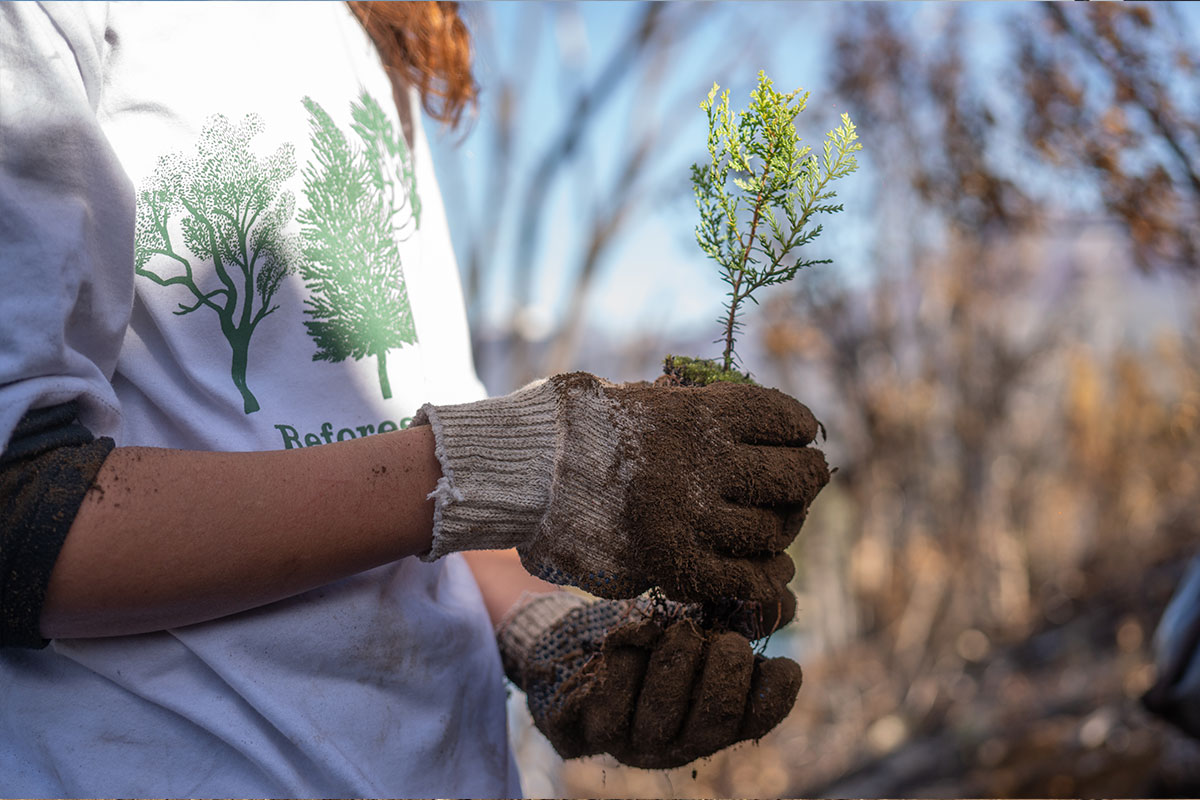 Navijet-Agents-REFORESTARG-4