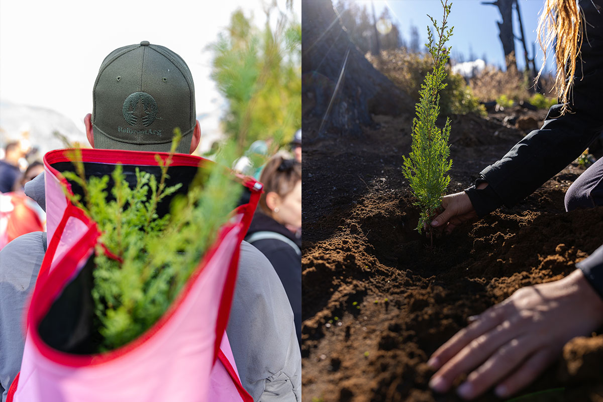 Navijet-Agents-REFORESTARG-7