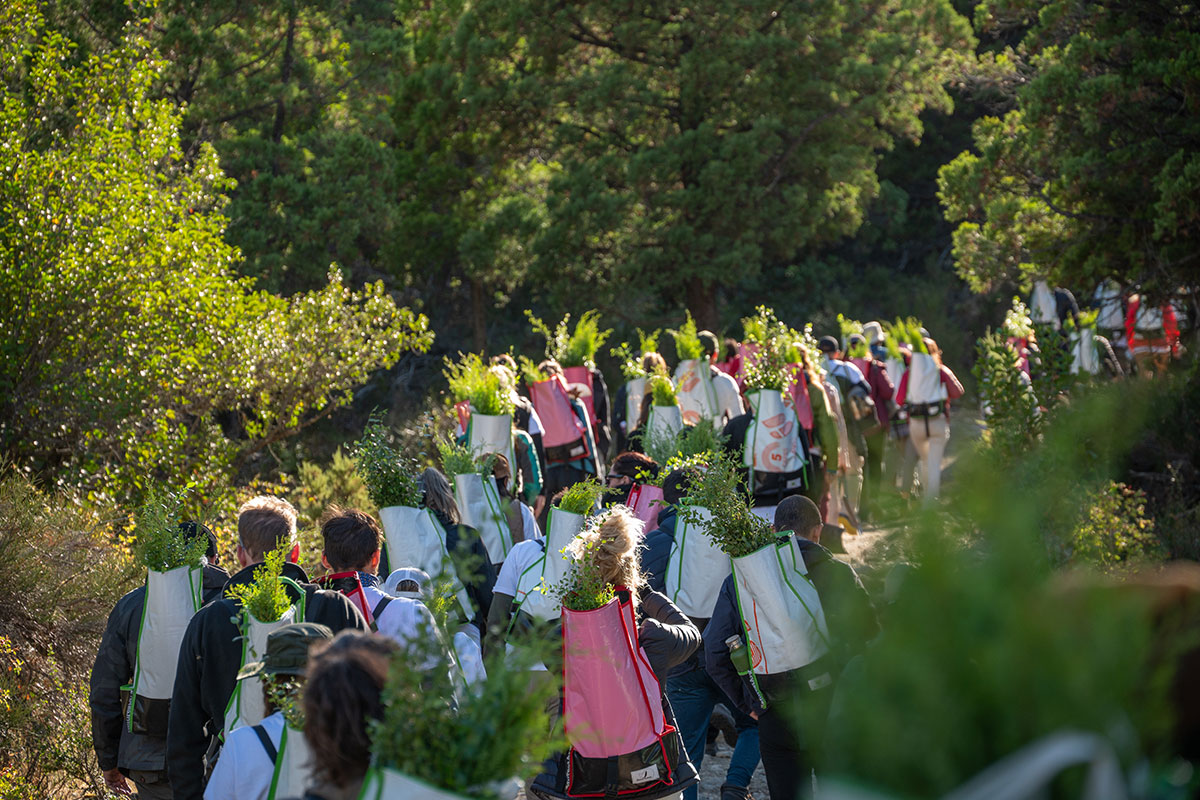 Navijet-Agents-REFORESTARG-8